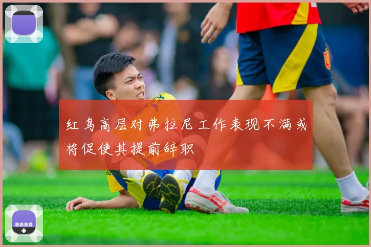 红鸟高层对弗拉尼工作表现不满或将促使其提前辞职