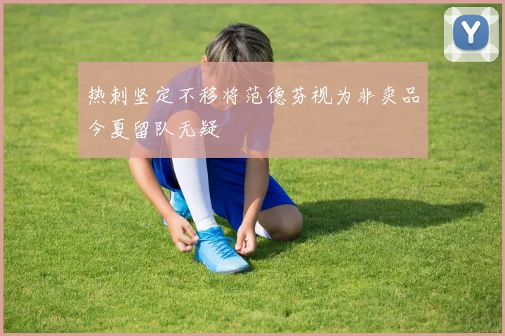热刺坚定不移将范德芬视为非卖品今夏留队无疑