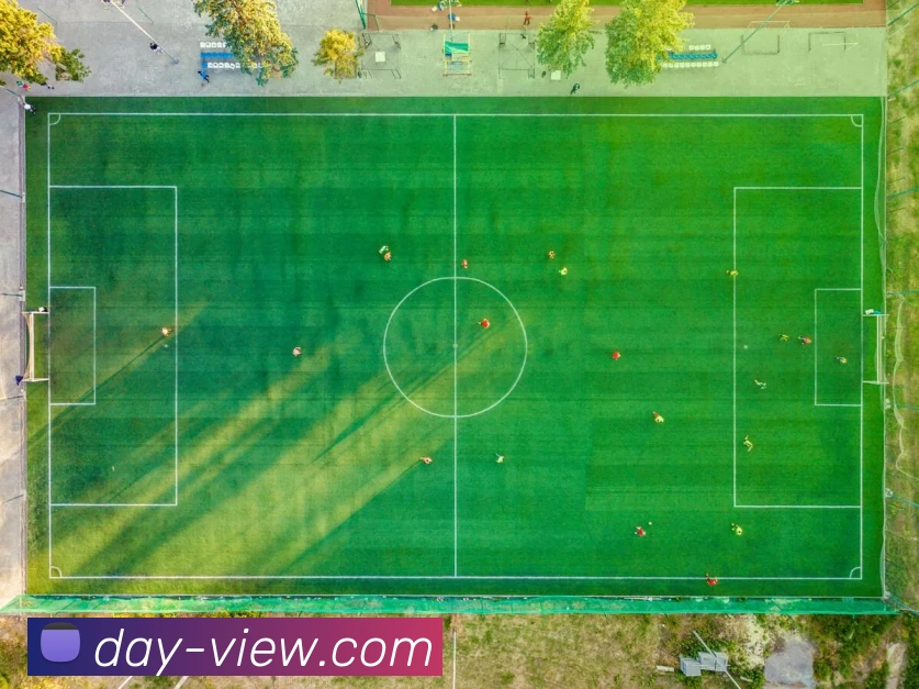 未来规划